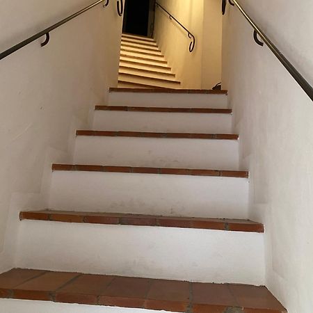 La Ginestra - Terrazza Apartment Orciatico Ngoại thất bức ảnh